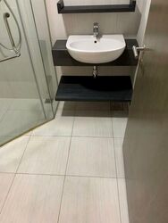 The Rise @ Oxley (D9), Condominium #464975321